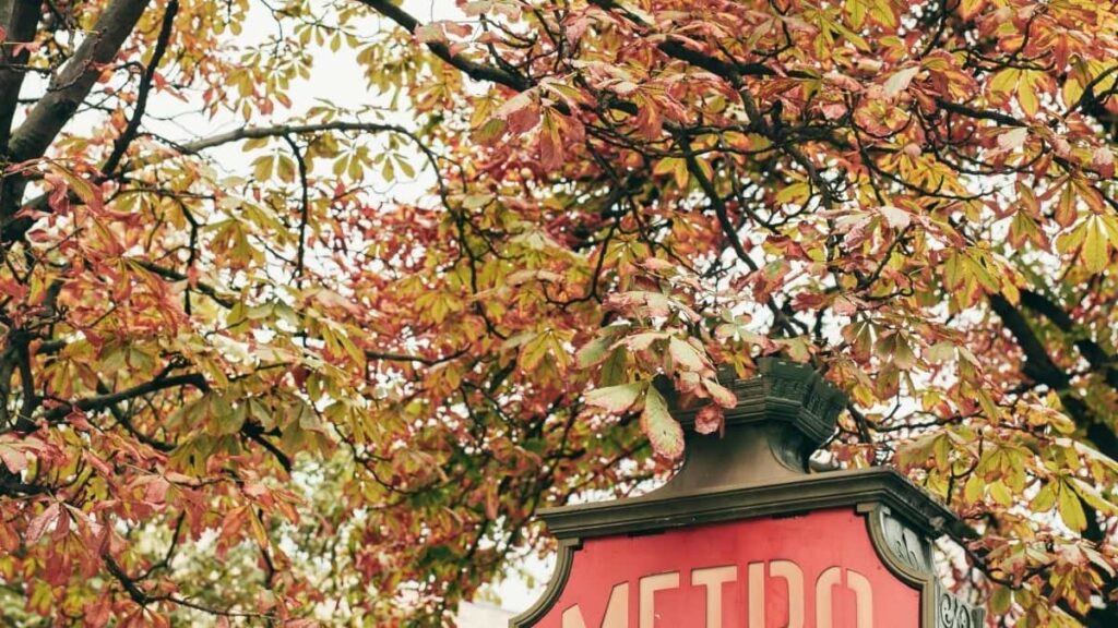 Hoe Snapchat influencers in Belgium samenwerken met Braziliaanse merken