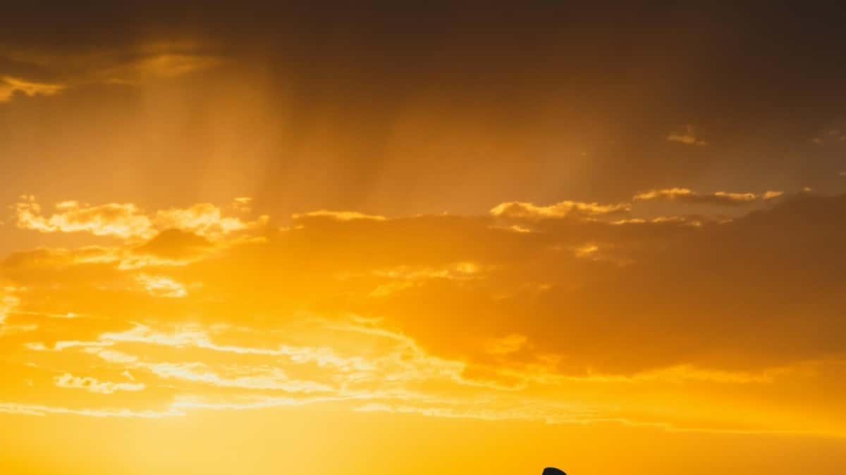 2025 Romania LinkedIn reclame tarieven overzicht voor België