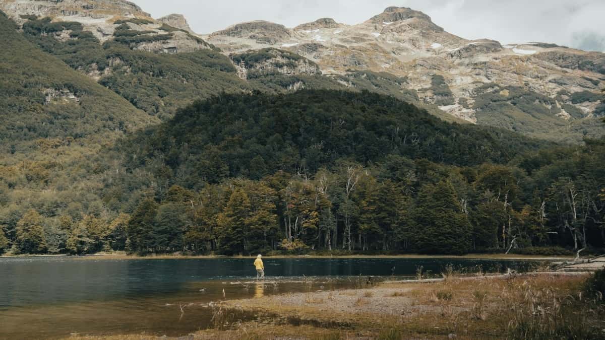 Japan YouTube advertenties tarieven voor 2025 uitgelegd voor België