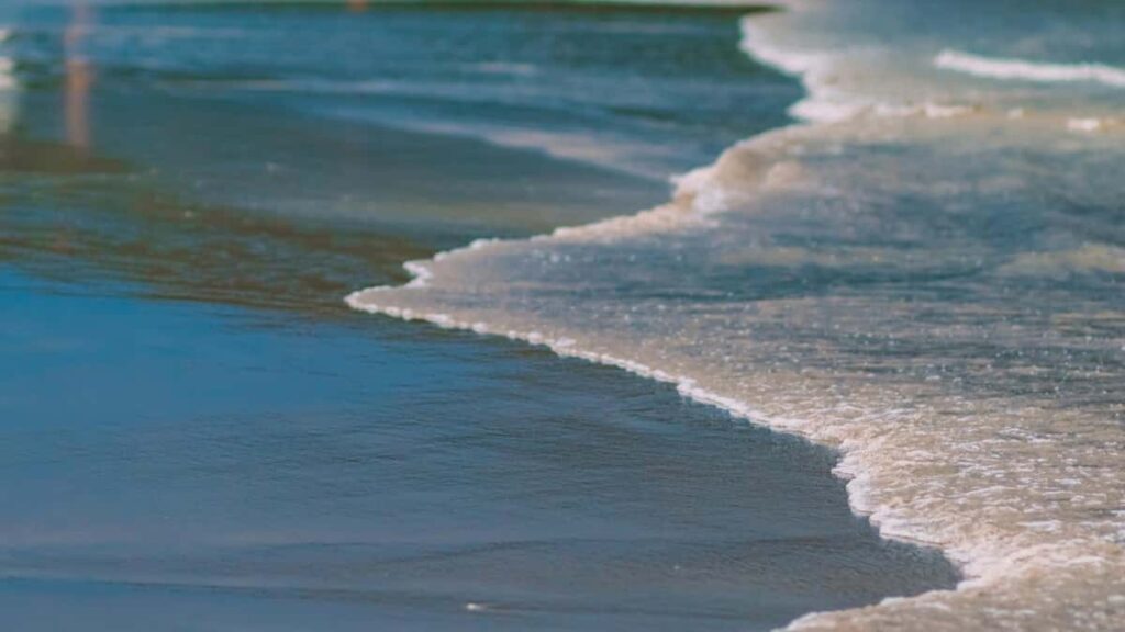 2025 Netherlands Pinterest Volledige Reclame Tarieven Gids