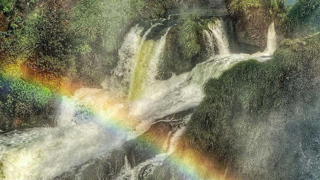 Ontdek hoe Belgische merken Instagram inzetten voor seizoenspromoties in Costa Rica en zo toeristen en klanten boeien.