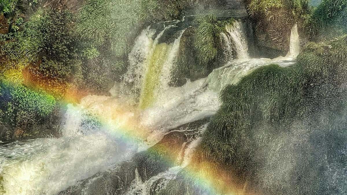 Hoe Belgische merken Instagram gebruiken voor seizoenspromoties in Costa Rica