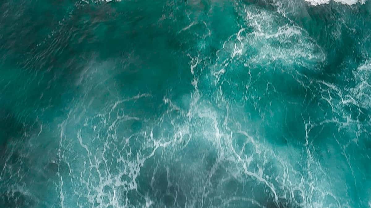 Belgische adverteerders: Zo vind je Marokkaanse WhatsApp creators voor gesponsorde challenges