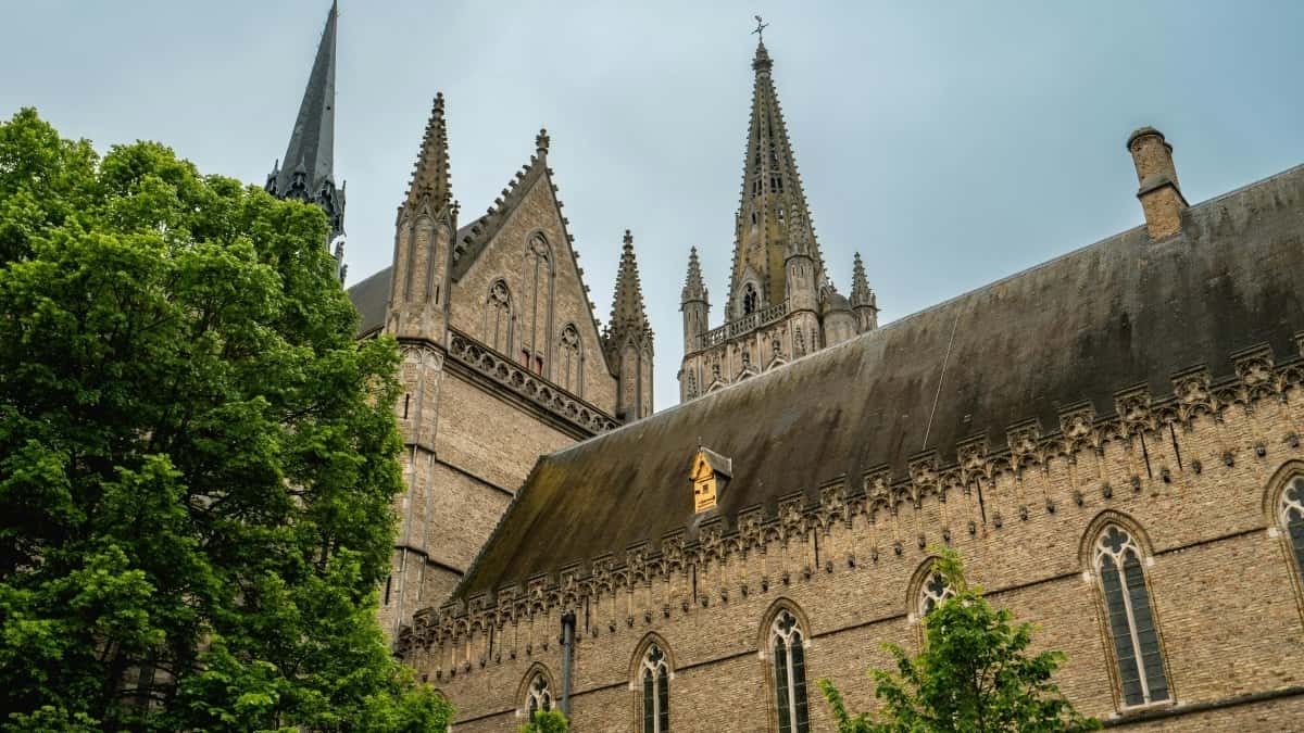 Noorse Kuaishou-makers vinden voor albumreactie-campagnes