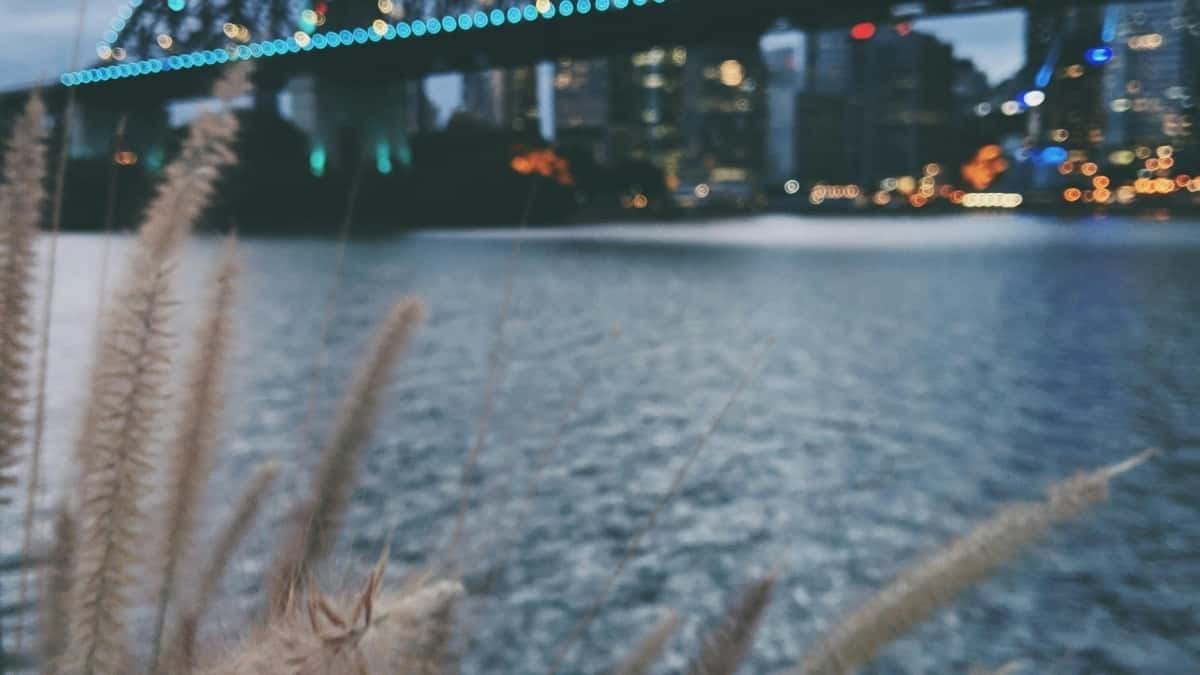 Creators: hoe Latvische merken op Disney+ bereiken voor gesponsorde game-streams