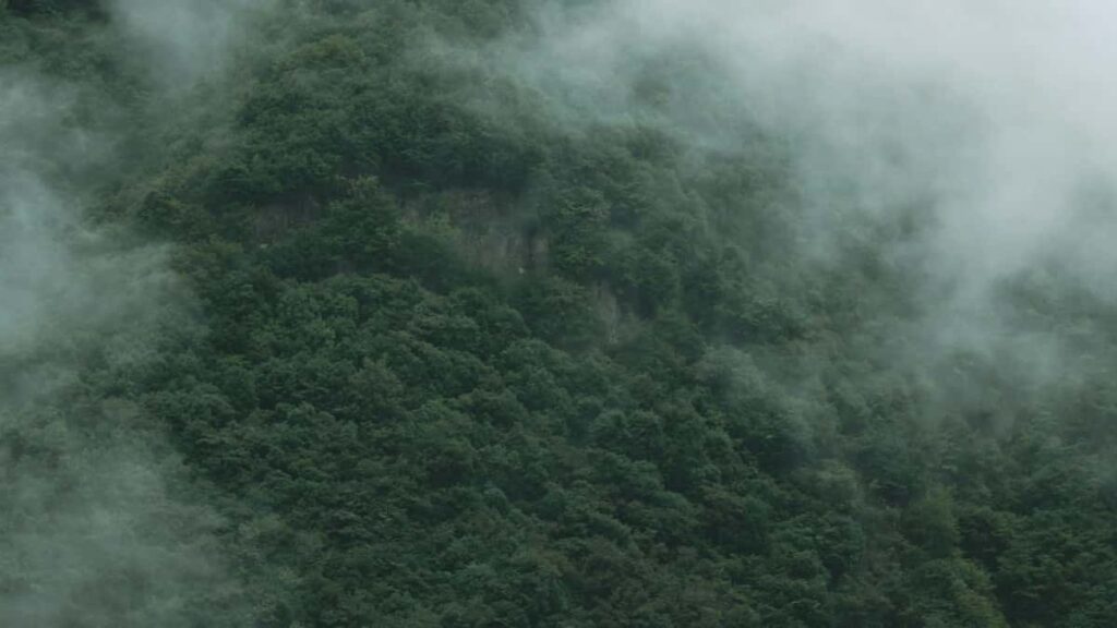 Praktische gids voor Belgische creators: hoe je Canadese merken op TikTok contacteert voor unboxing- en testimonialclips outreach, pitch, contracttips en lokale tricks.