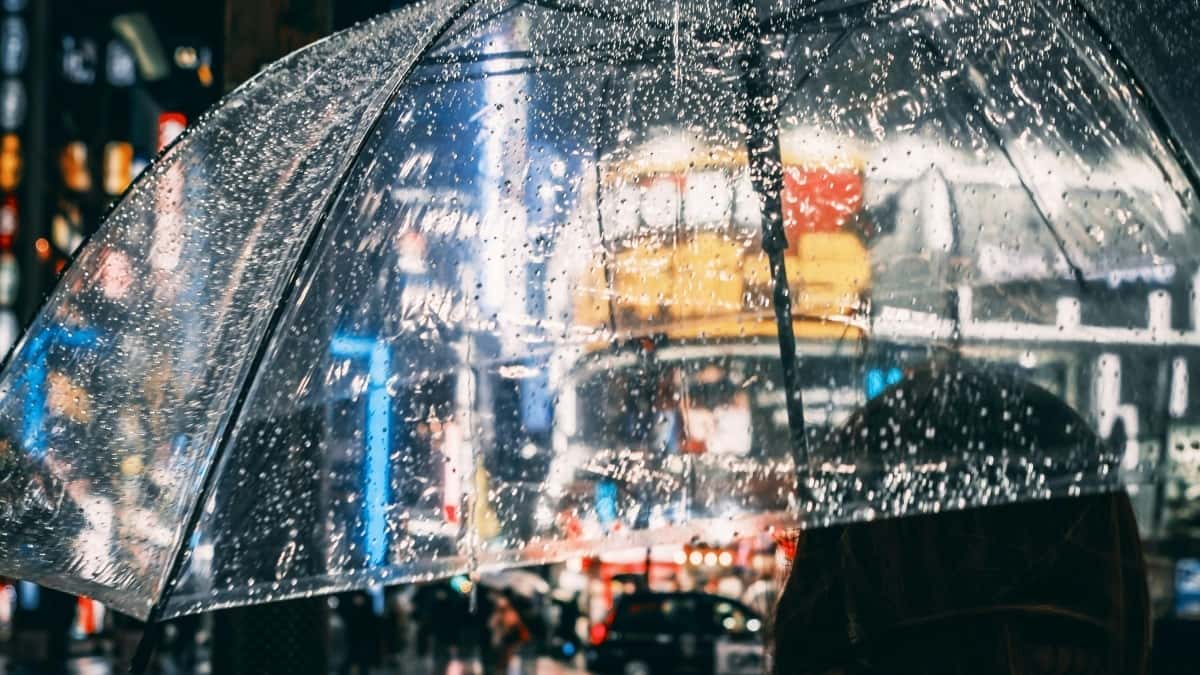 Belgische adverteerders: Zo vind je Slowaakse Zalo-creators voor supplementen