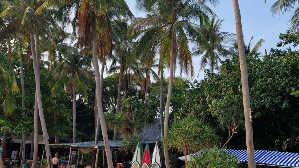 Praktische gids voor Belgische adverteerders: hoe je Italiaanse Redditcreators vindt en inzet om lokale tours in Italie te promoten via influencers.