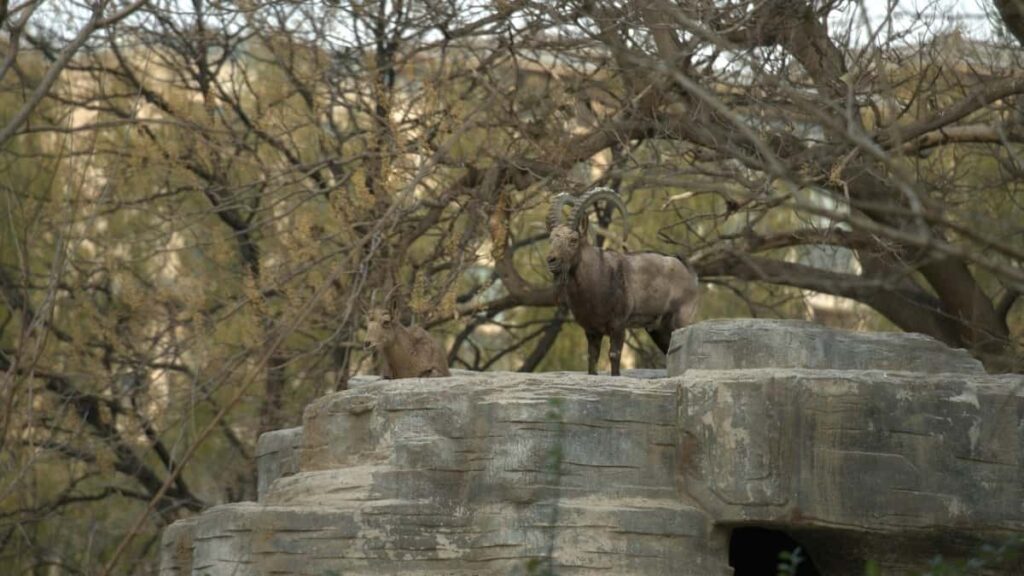 Praktische gids voor Belgische merken: hoe je Maltabased Xiaohongshucreators vindt en inzet voor creatorled sustainability campagnes.