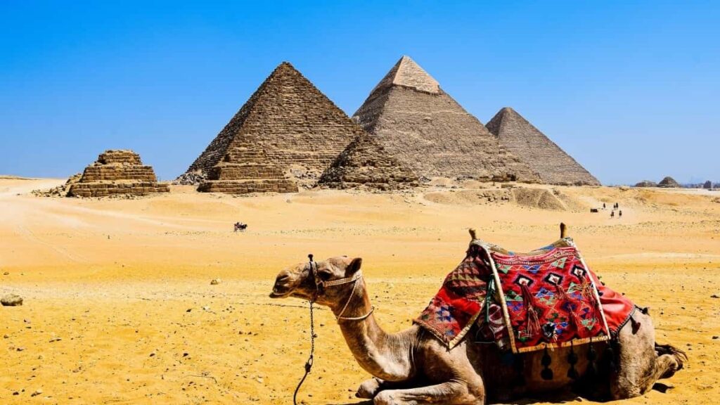 Praktische gids voor Belgische creators: hoe je Roemeense merken op TikTok target om inschrijvingen voor online cursussen te verhogen.