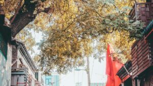 Praktische gids voor Belgische adverteerders: hoe je Griekse WeChat-creators vindt en inzet om awareness te boosten binnen gaming communities.