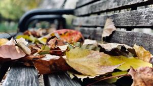 Praktische gids voor Belgische creators: hoe je Ivoriaanse merken op Clubhouse bereikt, vertrouwen wint bij sponsors en lokale kansen benut (2025).