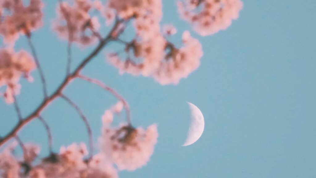 Praktische gids voor Belgische adverteerders: hoe je Saudi-Arabie Telegram-creators vindt om lokale toeristische tours via influencers te promoten.