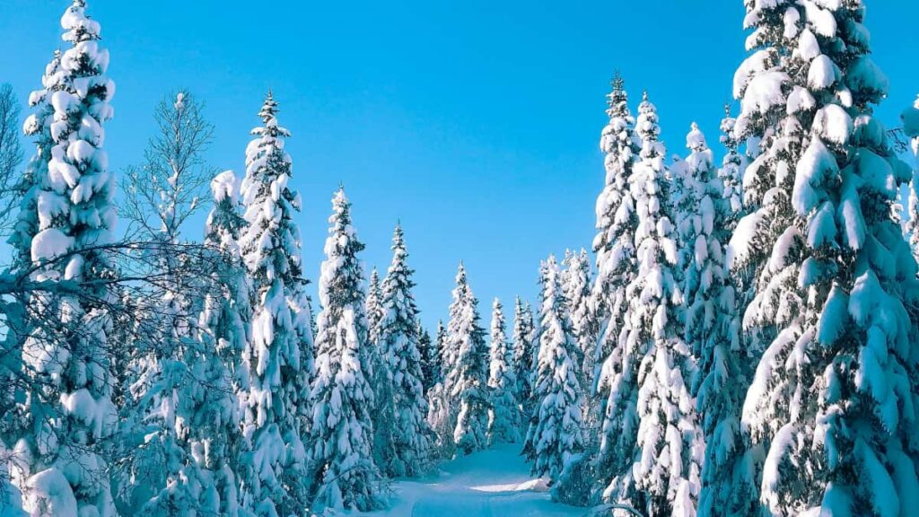 Praktische gids voor Belgische adverteerders: stap-voor-stap manieren om Egyptische TikTokcreators te vinden, beoordelen en activeren voor campagnes.