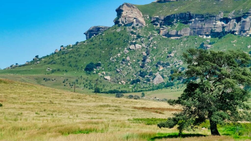 Praktische gids voor Belgische creators: hoe Algerijnse merken via Zalo benaderen, valkuilen vermijden en verborgen lokale parels delen.