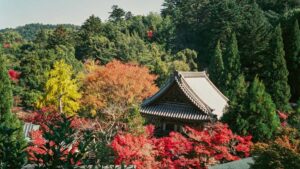 Praktische gids voor Belgische creators: hoe je via KakaoTalk Nigeriaanse merken benadert en productvoordelen glashelder communiceert.