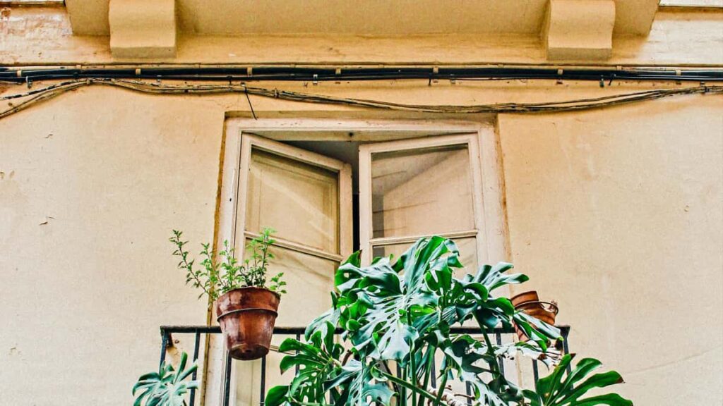 Praktische gids voor Belgische creators: hoe je op Spotify Tunesische merken aanspreekt, productvoordelen helder communiceert en samenwerkingen start.