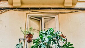 Praktische gids voor Belgische creators: hoe je op Spotify Tunesische merken aanspreekt, productvoordelen helder communiceert en samenwerkingen start.