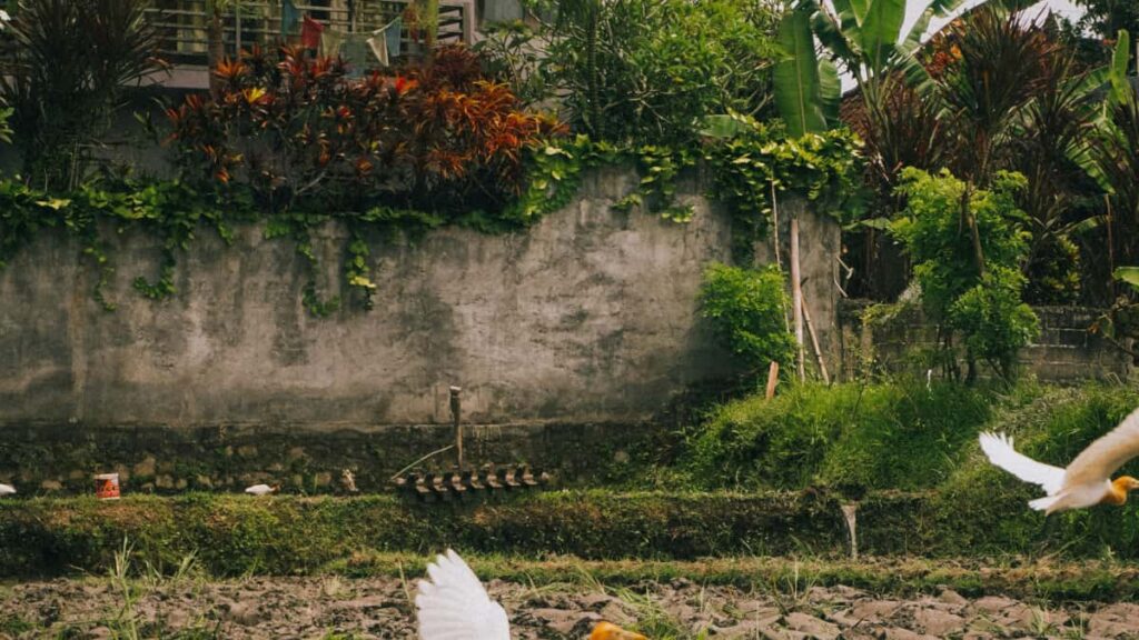 Praktische gids voor Belgische adverteerders: hoe je Zweedse Hulu-creators ontdekt, samenwerkt en engaged kijkers omzet in leads.